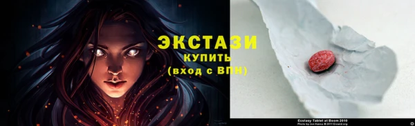 ECSTASY Инсар