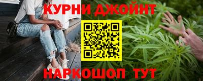 прущие грибы Тула