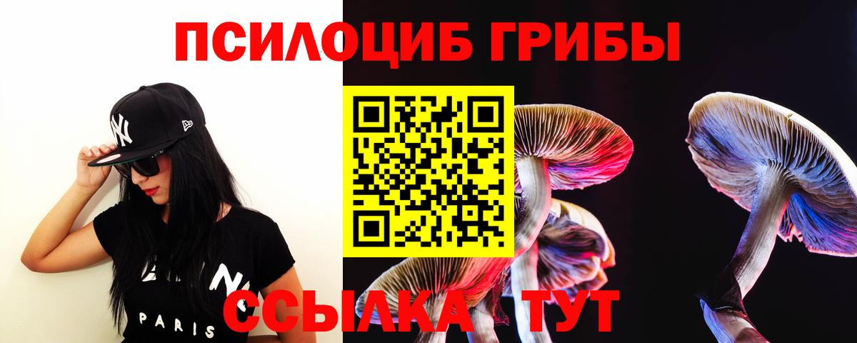 Псилоцибиновые грибы Magic Shrooms  Галлюциногенные грибы MAGIC MUSHROOMS  Вход с VPN  Дальнереченск 